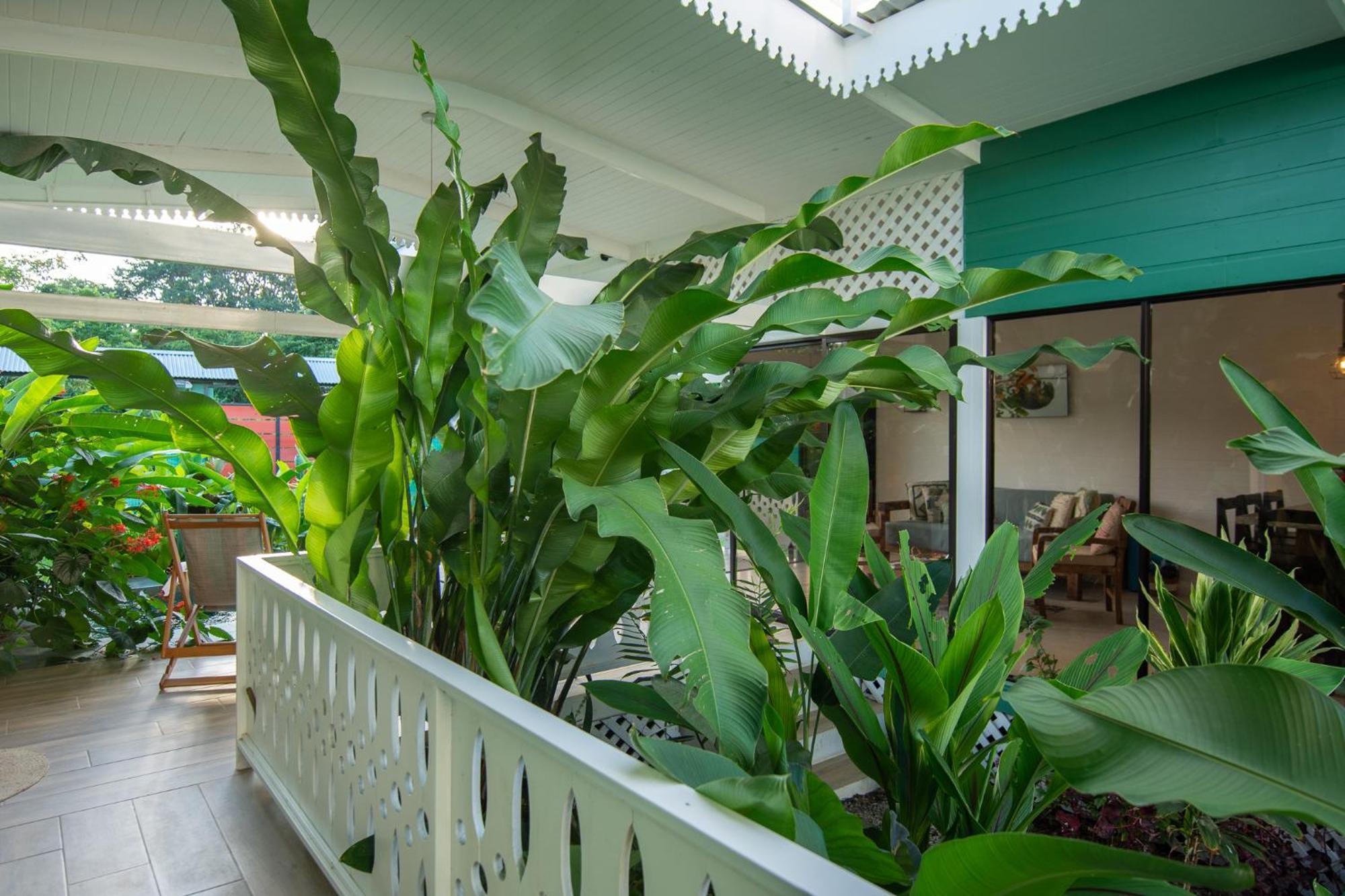 Namaitami Casa Hermosa Con Ac Y Piscina A Solo 650 Metros Del Parque Nacional Cahuita Εξωτερικό φωτογραφία